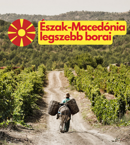 Gyümölcsbombák és ízgazdag örömborok Észak-Macedóniából