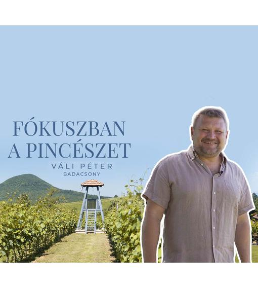 Fókuszban Váli Péter Borászata