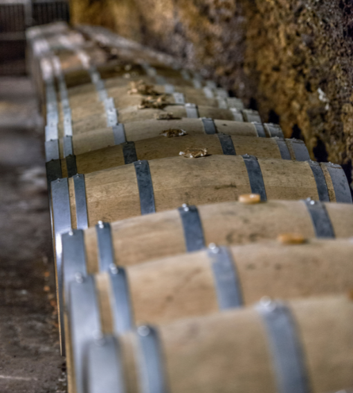 Egy merlot, hat hordó, és egy csodálatos válogatás