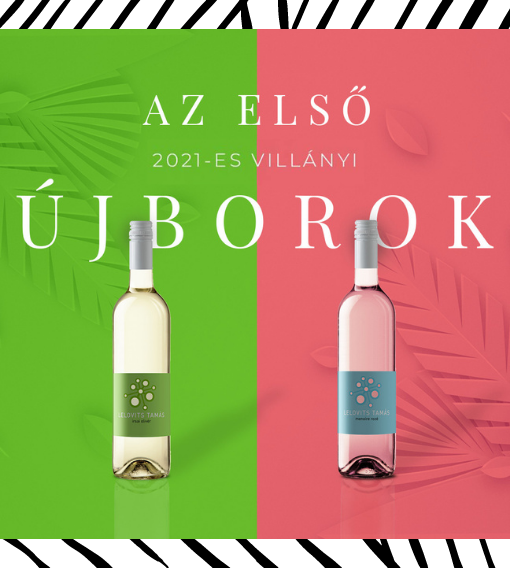 Lelovits a házban: megérkeztek az első 2021-es villányi újborok!