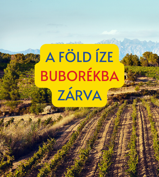 Corpinnat: a pezsgő a cavák fölött