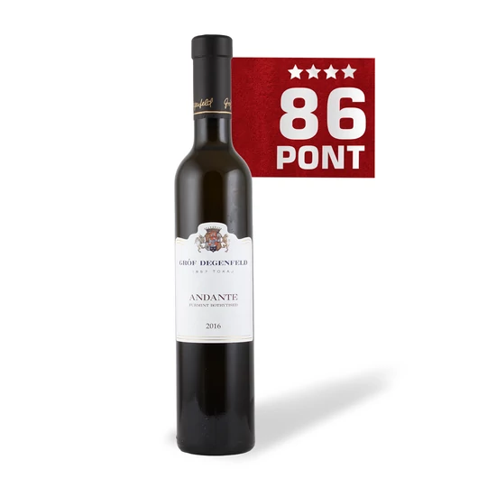 degenfeld andante 2013