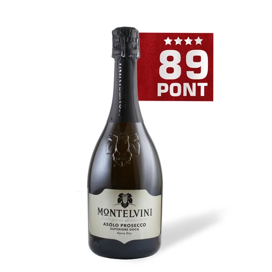 Asolo Prosecco Superiore Extra Dry DOCG - Montelvini