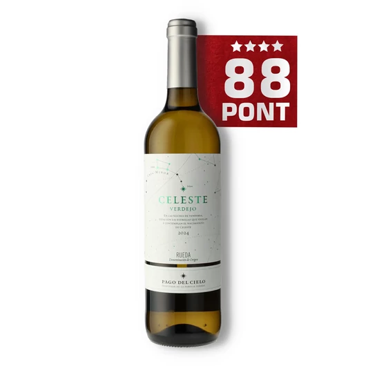 Pago del Cielo Celeste Crianza 2024 - Familia Torres