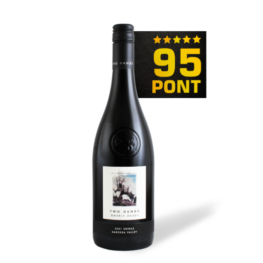 Gnarly Dudes Shiraz 2021 - Two Hands