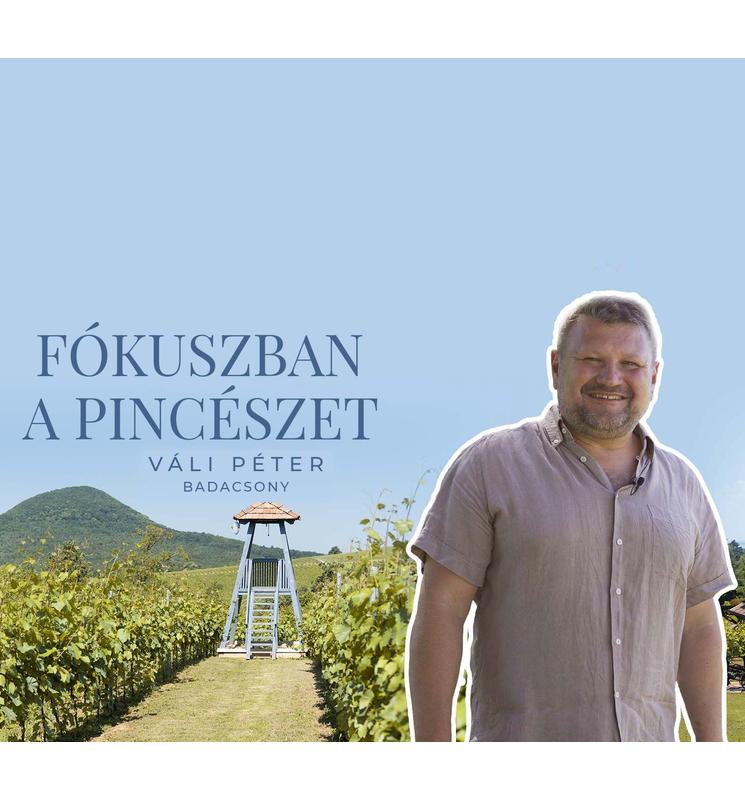 Fókuszban Váli Péter Borászata