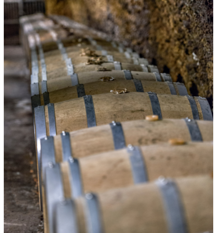 Egy merlot, hat hordó, és egy csodálatos válogatás