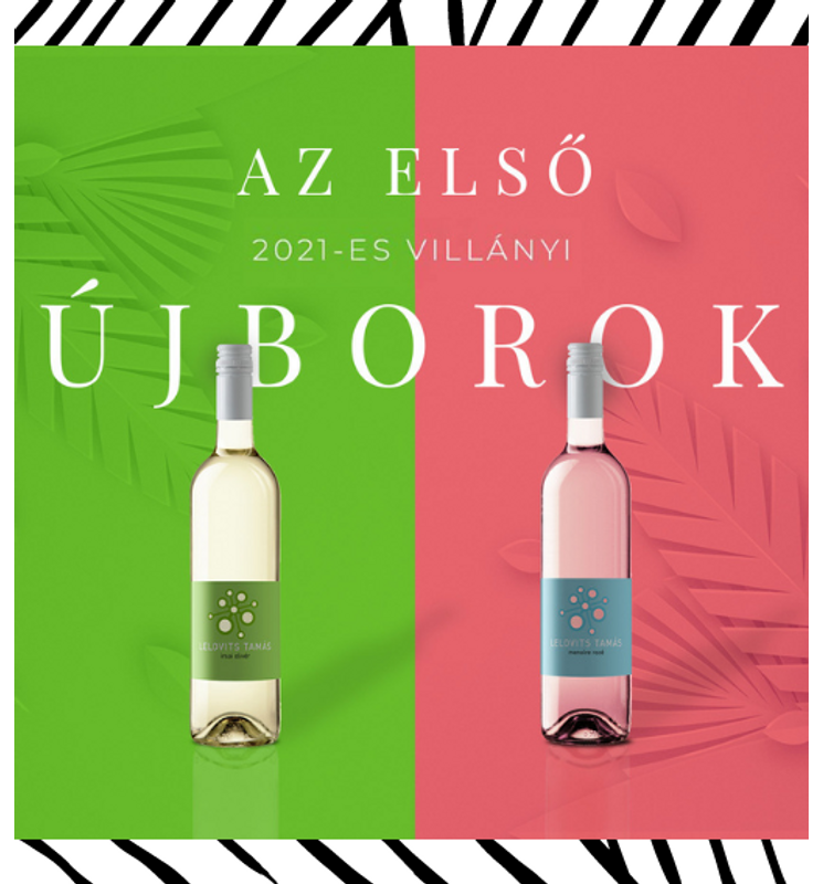 Lelovits a házban: megérkeztek az első 2021-es villányi újborok!