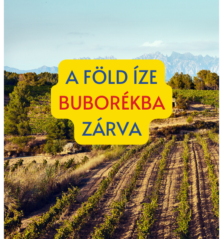 Corpinnat: a pezsgő a cavák fölött