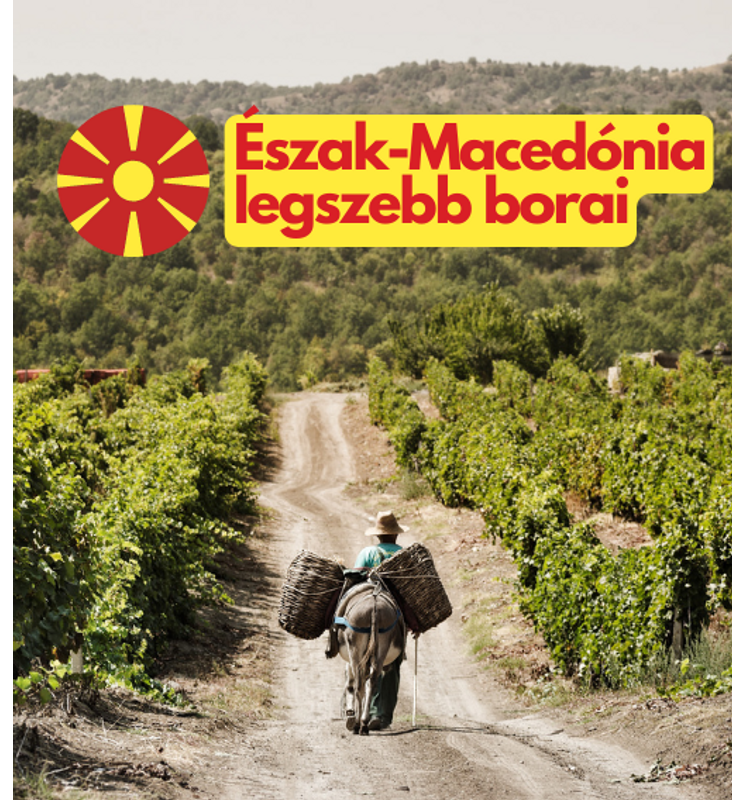 Gyümölcsbombák és ízgazdag örömborok Észak-Macedóniából